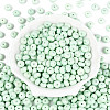 Opaque Baking Paint Glass Seed Beads SEED-N008-03A-06-2