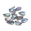 Natural Abalone Shell/Paua Shell Pendants SSHEL-F303-04-1