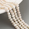 Natural Cultured Freshwater Pearl Beads Strands PEAR-C003-05A-1