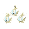 Brass Enamel Pendants KK-Z114-19G-2