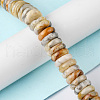 Natural Crazy Agate Beads Strands G-F743-06J-2