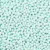 6/0 Glass Seed Beads SEED-L011-08A-14-3