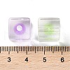 Transparent Acrylic Bead OACR-H112-07B-3