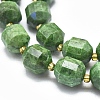 Natural Diopside Beads Strands G-K303-A10-12mm-3