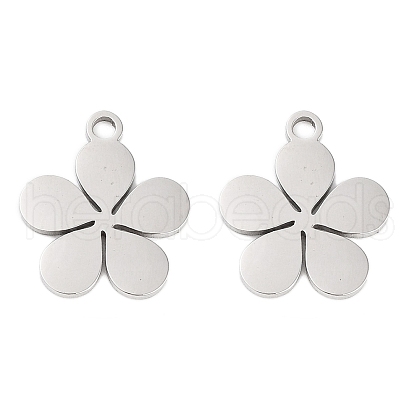 Non-Tarnish 316 Stainless Steel Charms X-STAS-C096-10C-P-1