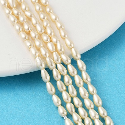 Polished Shell Pearl Beads Strands BSHE-L042-A01-01-1