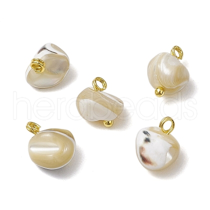 Natural Trochus Shell Nuggets Charms with Brass Loops PALLOY-JF03586-01-1