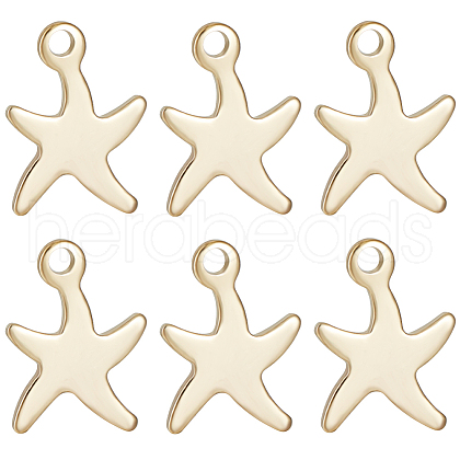 Beebeecraft 50Pcs 304 Stainless Steel Charms STAS-BBC0004-29-1