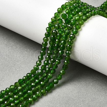 Natural Green Diopside Beads Strands G-NH0046-A01-02-1