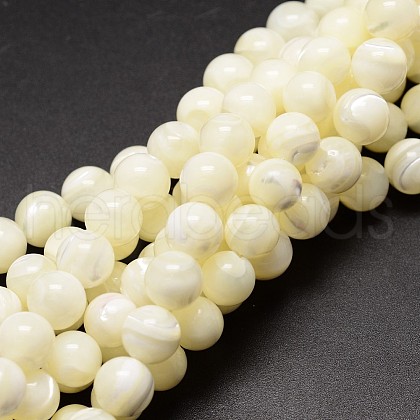Shell Beads Strands SSHEL-E571-39-6mm-1