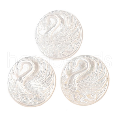 Natural White Shell Cabochons SSHEL-C012-10-1