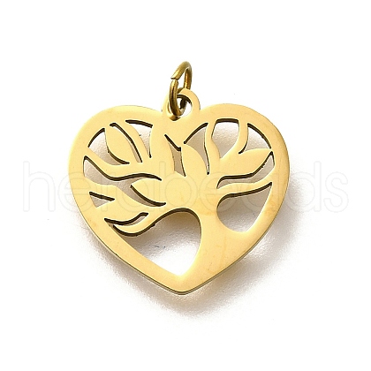 304 Stainless Steel Charms STAS-R153-39G-1