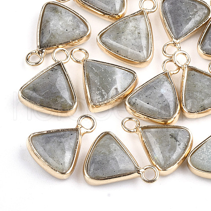 Natural Labradorite Pendants X-G-S344-10C-1