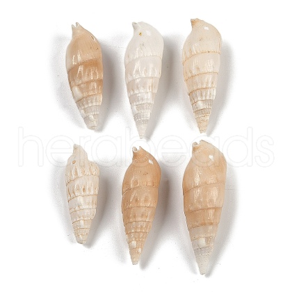 Natural Spiral Shell Pendants SHEL-K009-17B-1