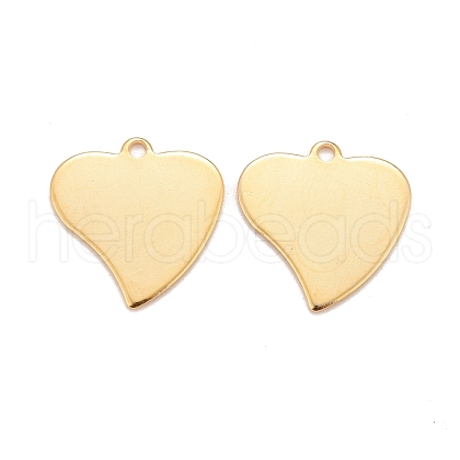 201 Stainless Steel Pendants STAS-K217-70G-1