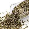 TOHO Round Seed Beads SEED-JPTR15-0513-1