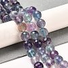 Natural Fluorite Beads Strands G-K345-A02-02A-2