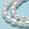 Natural Cultured Freshwater Pearl Beads Strands PEAR-A005-12-01-4