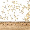 12/0 Transparent Glass Seed Beads X-SEED-F003-03C-14-4