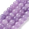 Dyed Natural Malaysia Jade Beads Strands X-G-G021-02C-05-2
