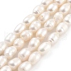 Natural Cultured Freshwater Pearl Beads Strands PEAR-P062-06A-2