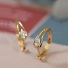 Teardrop Brass Clear Cubic Zirconia Hoop Earrings FS-WG02AD4-01-1