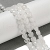 Natural Quartz Crystal Beads Strands G-P544-E14-01-1