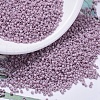 MIYUKI Delica Beads SEED-J020-DB0355-1