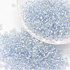 6/0 Transparent Glass Round Seed Beads X-SEED-J010-F6-32-1