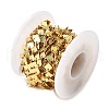 Brass Shell Shape Link Chains CHC-C014-08G-2