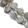 Natural Labradorite Beads Strands G-G182-B02-02-4