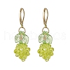 Acrylic Glass Leverback Earrings EJEW-MZ00443-2