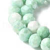 Electroplate Handmade Lampwork Beads Strands LAMP-S068-11E-3