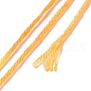 10 Skeins 6-Ply Polyester Embroidery Floss OCOR-K006-A48-3