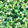 Glass Seed Beads SEED-N007-13E-3