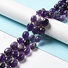 Natural Amethyst Beads Strands G-B028-B10-2