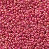 TOHO Round Seed Beads SEED-XTR11-0405F-2