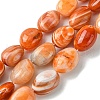 Natural Red Botswana Agate Beads Strands G-G117-A05-06-2