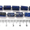 Natural Lapis Lazuli Beads Strands G-G068-A13-01-5
