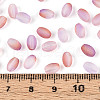 Frosted Glass Seed Beads SEED-N008-05C-4
