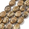 Natural Picture Jasper Beads Strands G-P528-M28-01-2