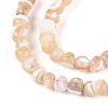 Natural Trochid Shell/Trochus Shell Beads Strands SSHEL-N040-10-3