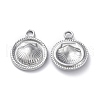 304 Stainless Steel Pendants STAS-P324-23P-2