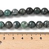Natural Dioptase Beads Strands G-D302-02-8mm-5