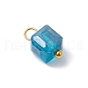 21Pcs Glass Charms PALLOY-JF03218-5