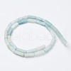 Natural Amazonite Beads Strands X-G-G968-D11-2