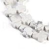 Natural Howlite Beads Strands G-I369-A18-02-4