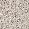 MIYUKI Round Rocailles Beads SEED-X0054-RR2021-1
