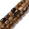 Natural Banded Agate Beads Strands G-D317-A01-06-2