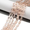 Glass Beads Strands GLAA-R026-8x4mm-14-1